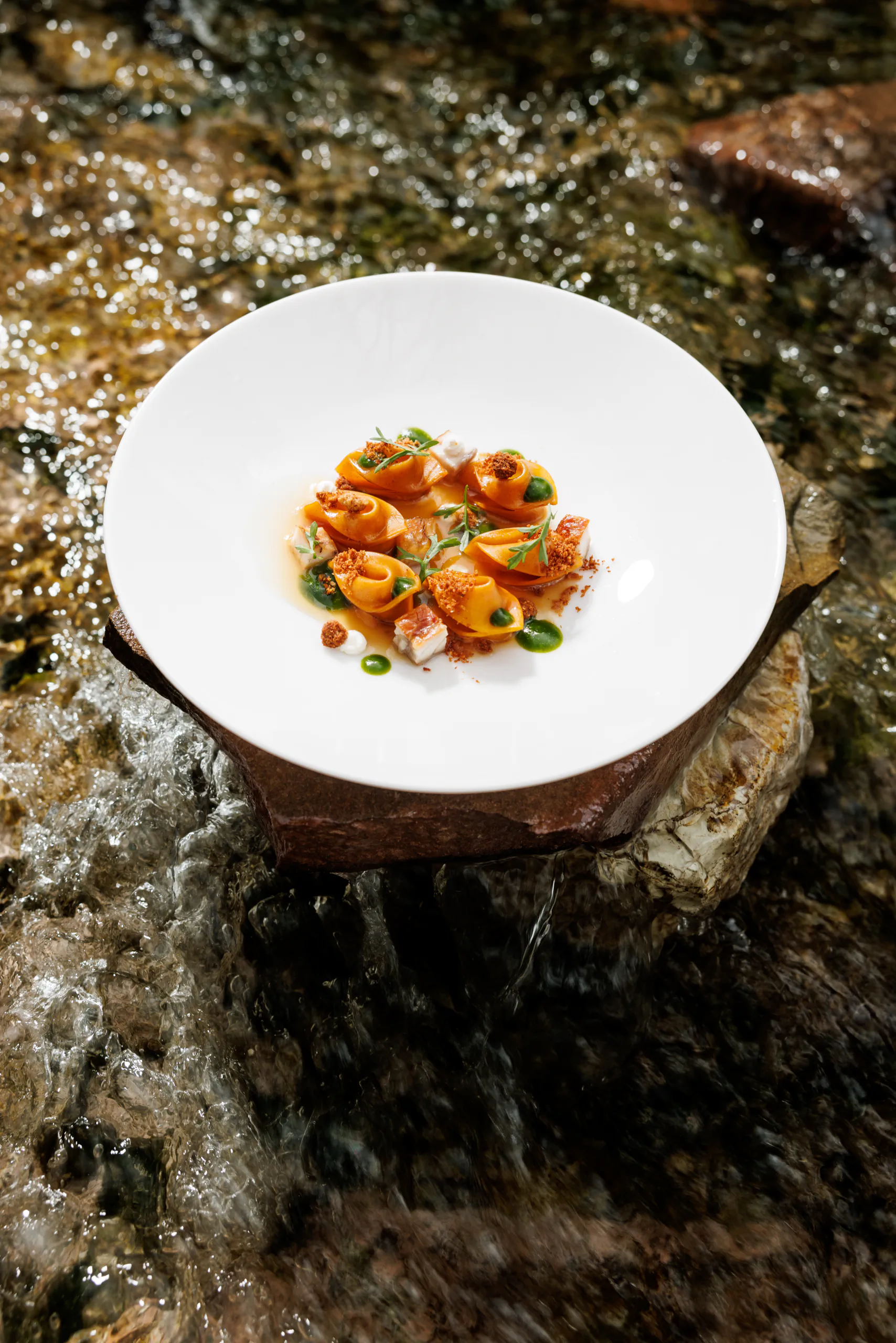 Plated pasta on a bowl set on a log above a mountain stream - UNE, Capodacqua, Italy