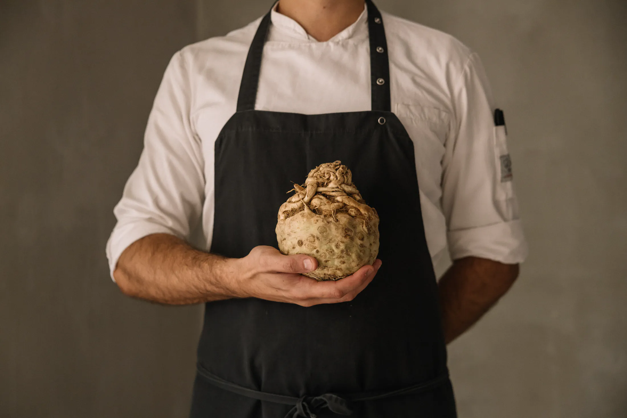 Chef holding a whole celeriac root - UNE, Capodacqua, Italy