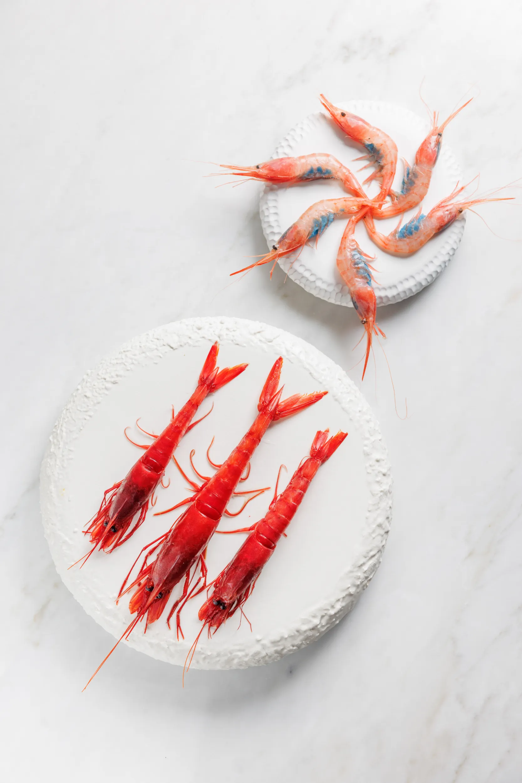 Fresh red prawns and carabineros arranged on white plates