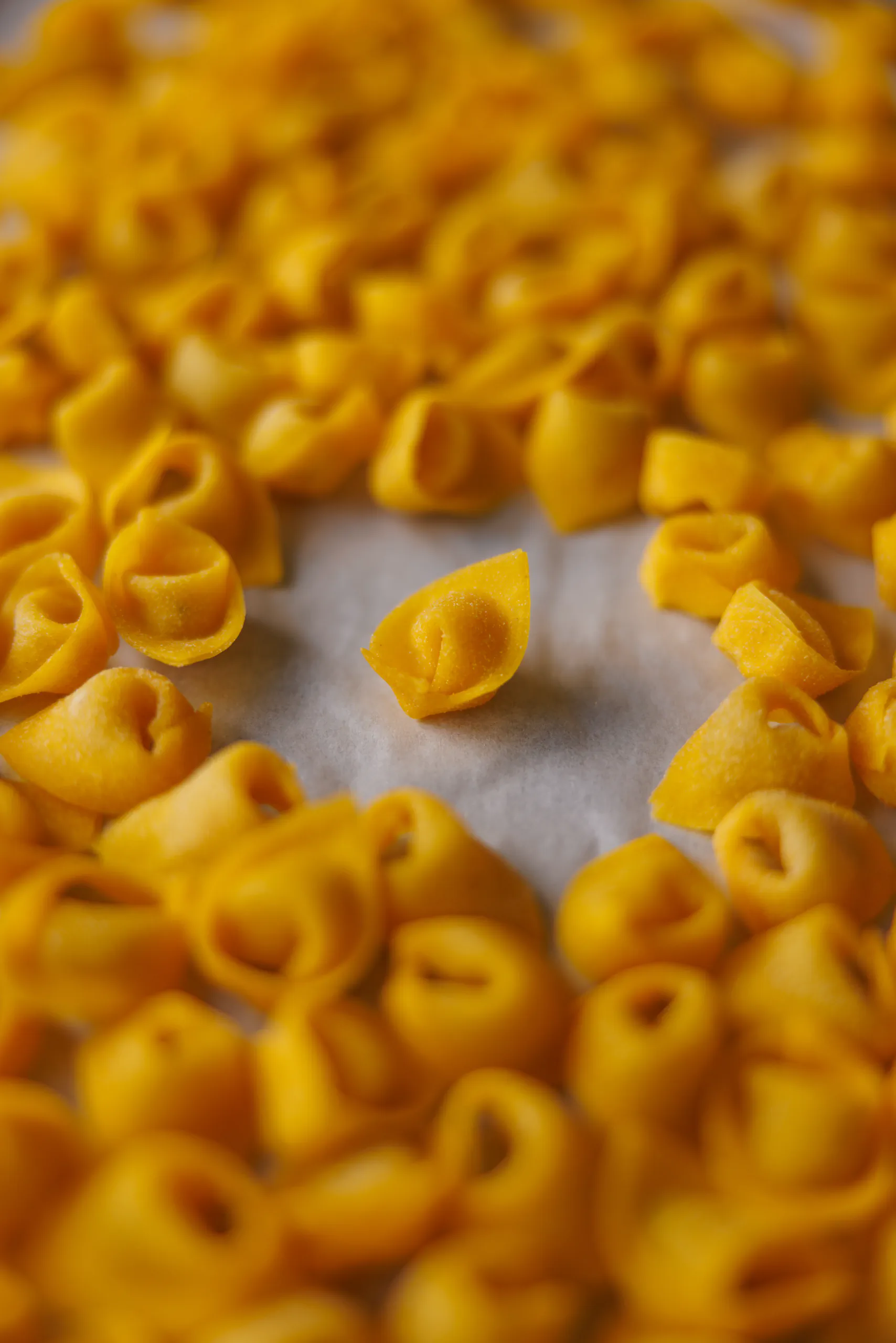 Close-up of fresh tortellini pasta