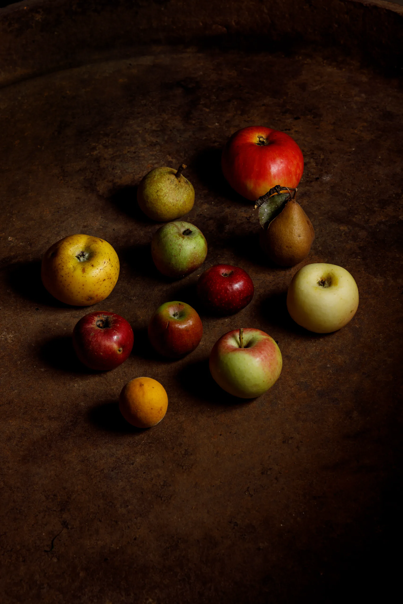 Assorted ancient apple varieties on a dark rustic surface - UNE, Capodacqua, Italy